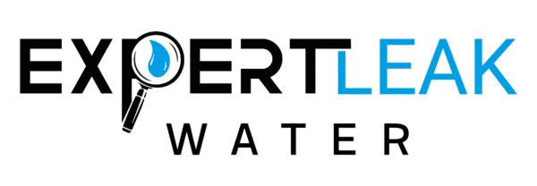 Expert leak Water logo