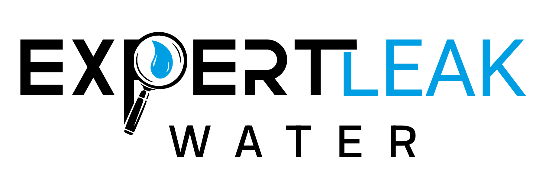 Expert leak Water logo